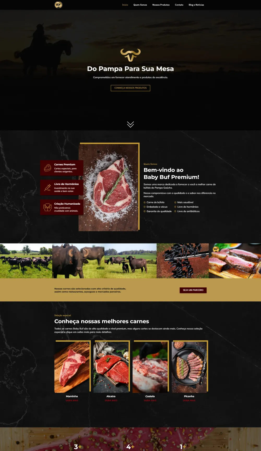 Imagem de um projeto de site